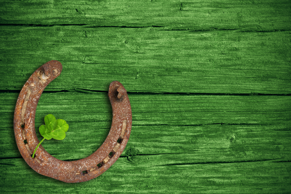 Alfalfa Horse Feed Best Base for Your Equine’s Diet