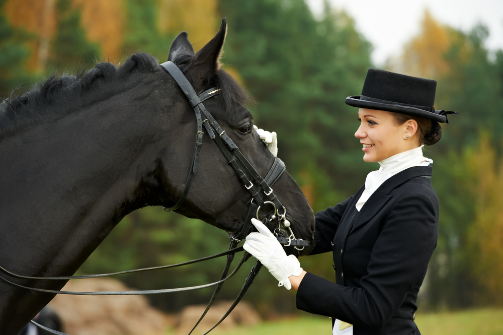 Bulk Alfalfa Pellets Smart Storage and Cost-Saving Tips - horsewoman jockey in uniform standing with horse outdoors