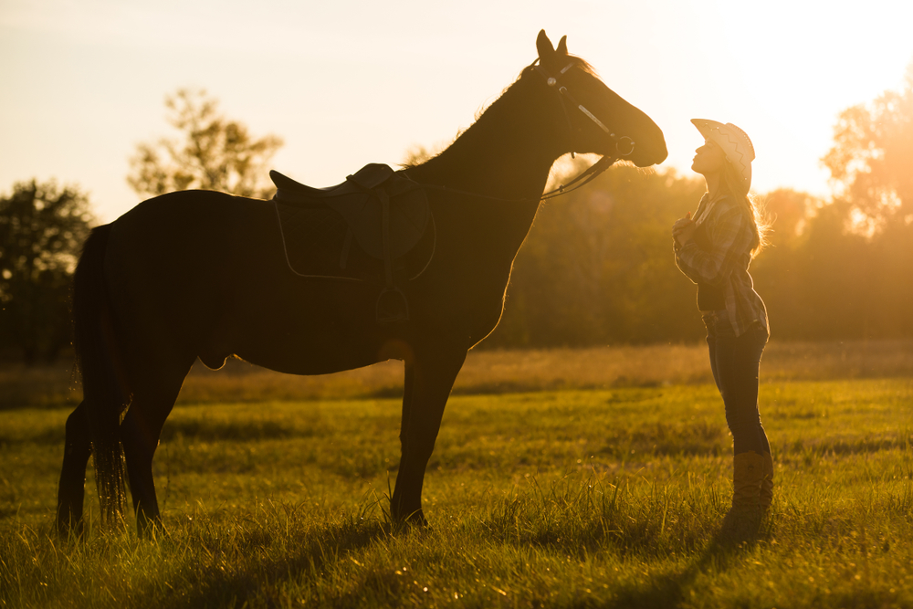 A girl rider stands near a horse and kisses a horse