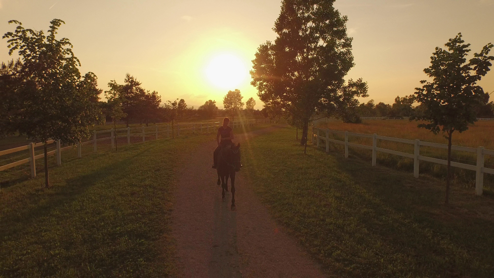 ctive young woman riding her beautiful mare down
