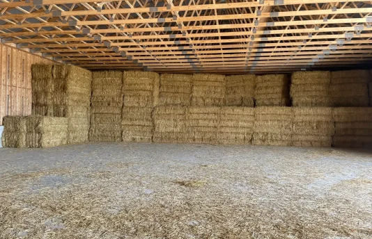 STORAGE & SHELF LIFE