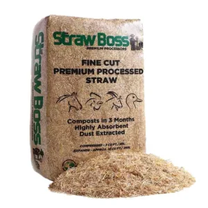 Main Product View