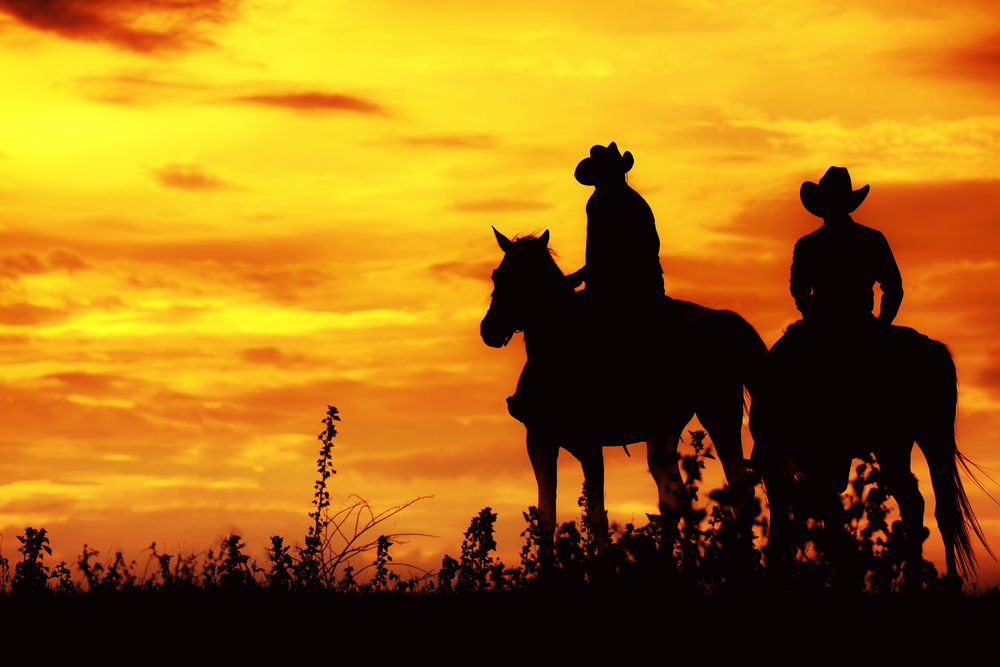 Cowboy on horseback. ranch
