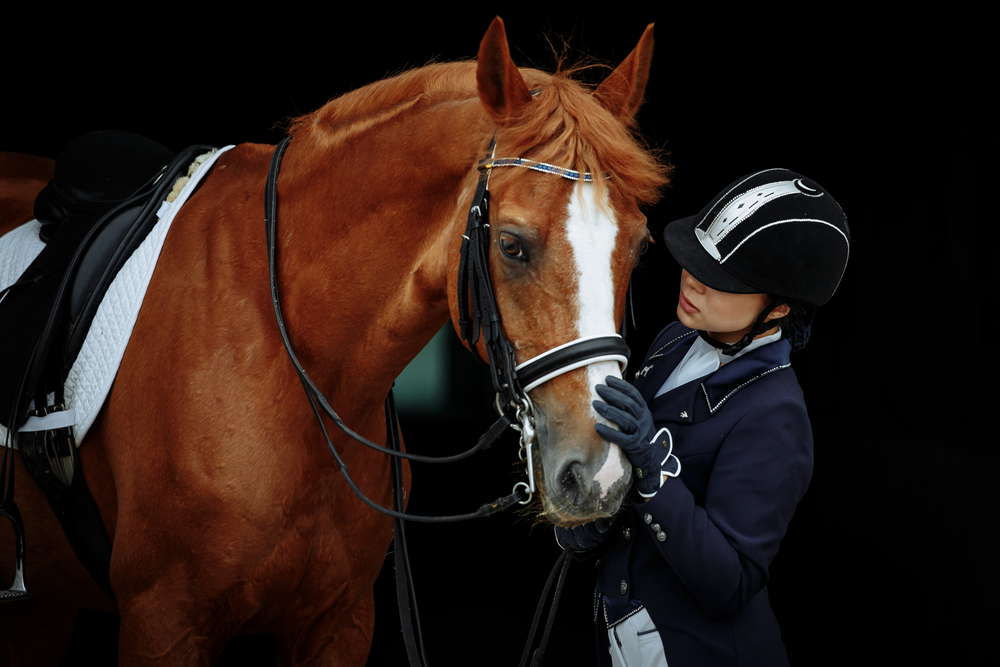 What Makes the Best Alfalfa Pellets for Horses - Portrait of a red dressage horse and young woman on black background. Girl with horse. Equestrian sport