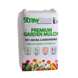 Main Product View